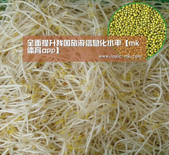 mk体育注册