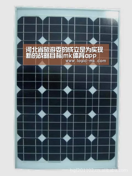 mk体育下载
