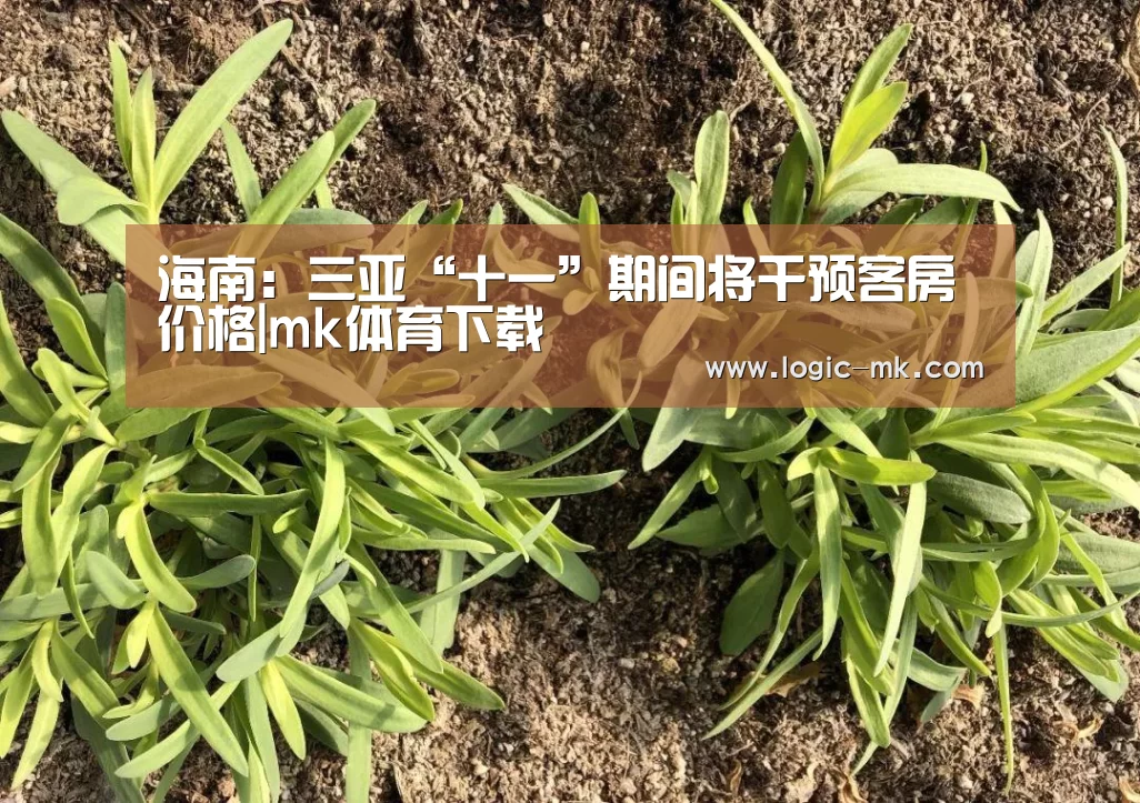 mk体育下载