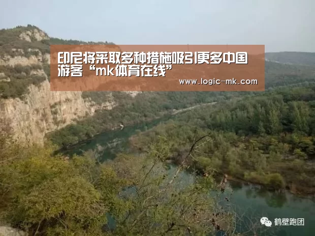 mk体育app