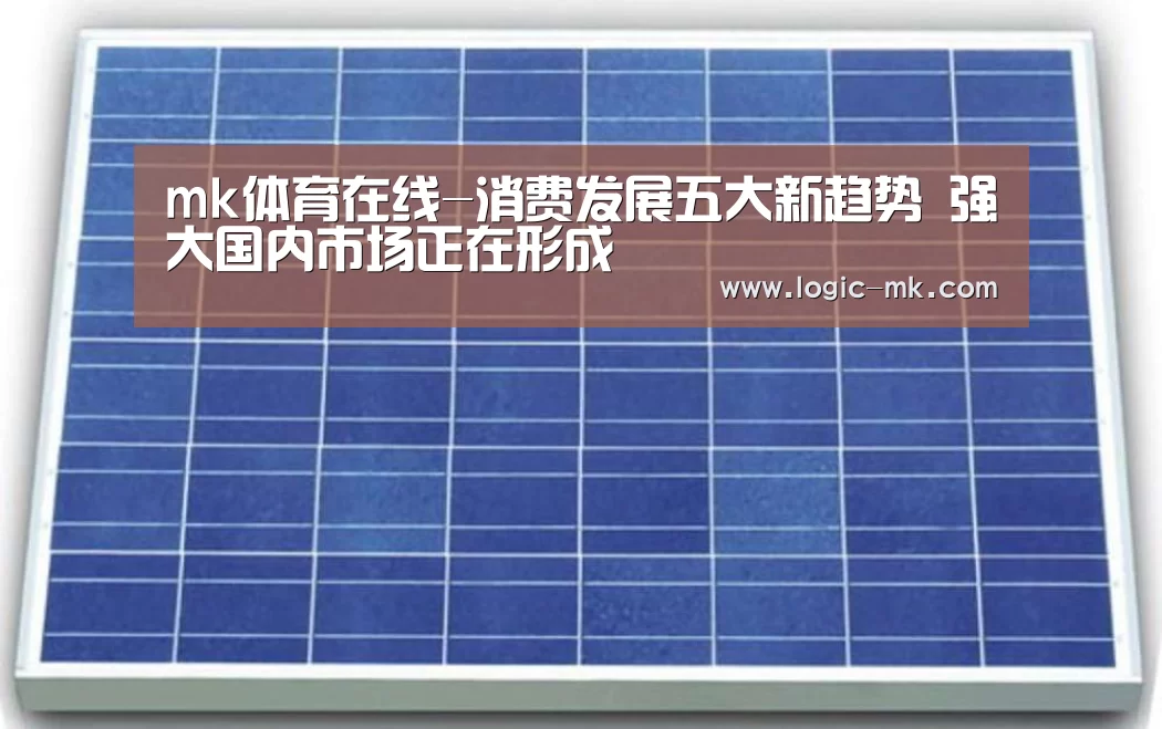 mk体育在线-消费发展五大新趋势 强大国内市场正在形成(图2) mk体育注册